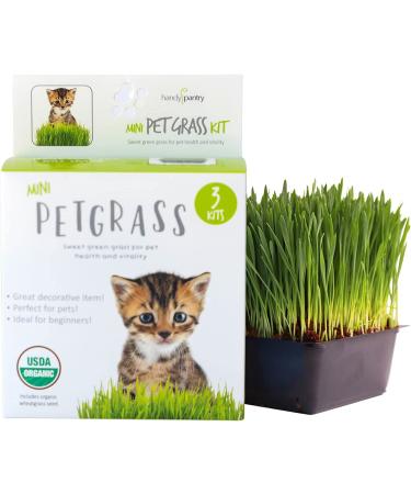 Organic Cat Grass Kit - 3 Trays, Soil Pucks & Non GMO Wheatgrass Seeds - Healthy Treat for Cats, Dogs, Rabbits & More - Buy Online on GoSupps.com