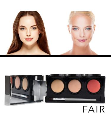 Tattoo Cover Up Makeup  Bruise Concealer  Waterproof  Smudge proof  3 colors + brush  by Dermaflage  6.9g/.24oz Fair - Buy Online on GoSupps.com