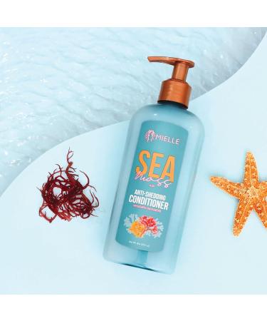 Mielle Organics Sea Moss Anti-Shedding Conditioner 8 Fl Oz - Stop Hair Shedding with Natural Ingredients - Buy Online on GoSupps.com