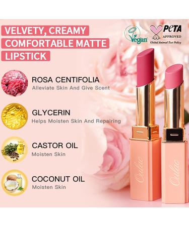 Oulac Nude Peach Creamy Matte Lipstick - Soft Satin Finish, Moisturizing Formula, Rich Color, Vegan & Cruelty-Free | Joyful (Y12) - Buy Online on GoSupps.com
