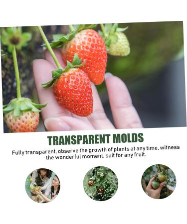 Parliky 1 Set Shaping Convenient Fruits Vegetable Shaper Ginseng Fruits and Vegetables Plastic - Buy Online on GoSupps.com