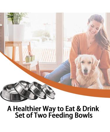 2-Pack Stainless Steel Dog Bowls with Anti-Skid Base - Ideal for Small/Medium/Large Pets - 8oz Capacity - Non-Slip Pet Feeder and Water Dish for Dogs, Puppies, Cats, and Kittens - Buy Online on GoSupps.com