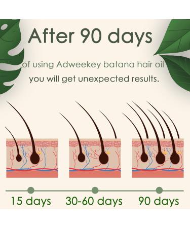 Organic Batana Oil for Hair Growth | 100% Pure | Promotes Hair Wellness for Men & Women | Enhances Radiance | 2.0 Oz - Buy Online on GoSupps.com