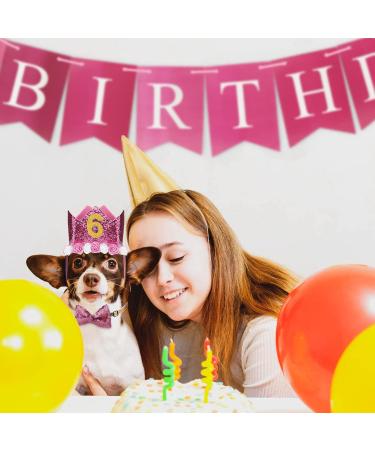 Dog Birthday Party Accessories | Pink Decoration Set with Crown Glitter Fly & Happy Birthday Banner for Dogs & Cats - Buy Online on GoSupps.com