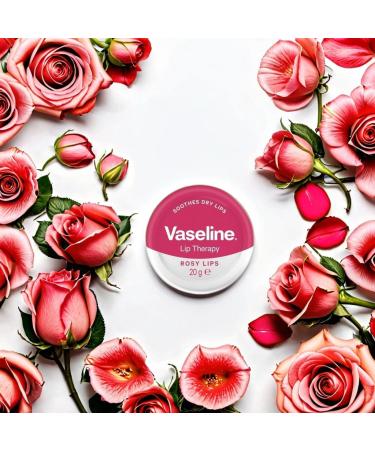 MM Vaseline Lip Therapy Rosy Lips - Moisturising Lip Balm with Rose Tint + Free Skincare Sample - Long-Lasting Hydration & Protection for Dry Lips - 20g Tin (6) - Buy Online on GoSupps.com