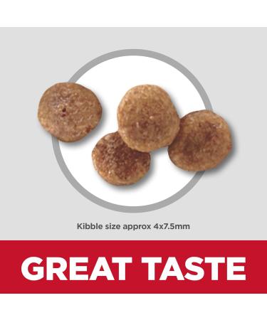 Hill's Science Diet Adult 11+ Small & Mini Chicken Meal Brown Rice & Barley Recipe Dry Dog Food 15.5 lb Bag & Adult Oral Care Chicken Rice & Barley Recipe Dry Dog Food for dental health - Buy Online on GoSupps.com