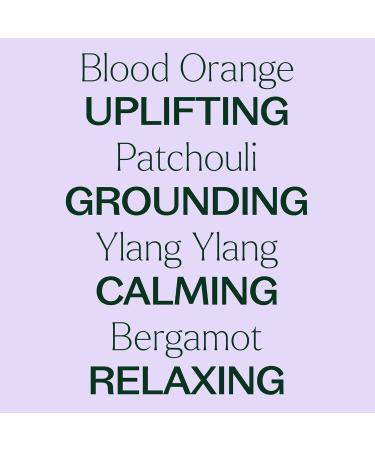 Plant Therapy Tranquil Essential Oil Blend - 100% Pure Peace & Calming Aromatherapy - 30 mL (1 oz) for International Shipping - Buy Online on GoSupps.com