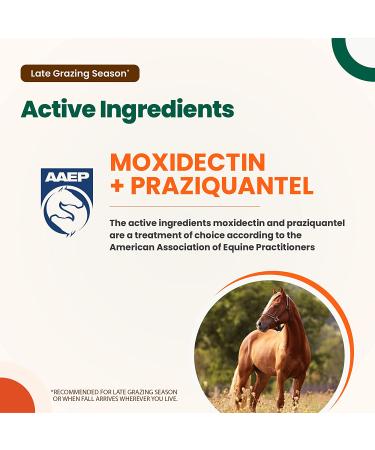 Quest Plus Gel Horse Dewormer for Horses and Ponies 6 Months+, 0.5oz Syringe - Moxidectin/Praziquantel Formula for Late Grazing Season - Buy Online on GoSupps.com