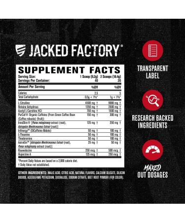 Jacked Factory Nitrosurge Shred Max Preworkout - High-Performance Thermogenic Pre Workout Powder for Men and Women with L Citrulline Acetyl L Carnitine Organic Caffeine - 40 Servings Cherry Bomb - Buy Online on GoSupps.com