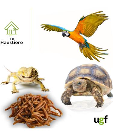 UGF Juicy Preserved Mealworms 140g - Premium Bird Food Hedgehog & Squirrel Treats Year-Round Nutrition - Buy Online on GoSupps.com