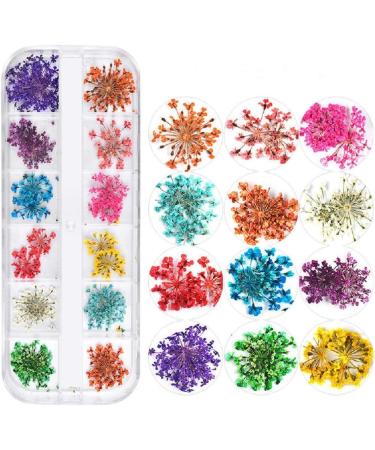 Multi-Colored Dried Flower Nail Art Set - 3 Boxes for Resin Jewelry & DIY Crafts - Buy Online on GoSupps.com