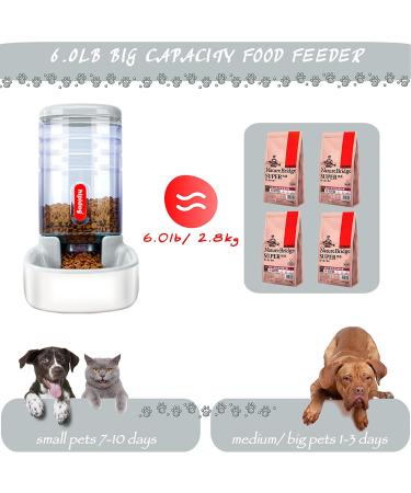 Gravity Pet Feeder and Waterer Set - Automatic Cat and Dog Food Bowls - Gray - Suitable for Small, Medium, and Large Pets - Buy Online on GoSupps.com