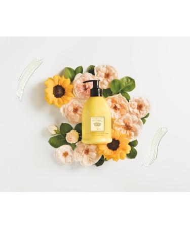 Dr Taffi Acqua di Bolgheri Oro FluidBodylotion 300 ml - Buy Online on GoSupps.com