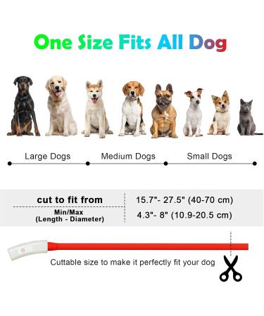 Buy Auauy LED Light Neck Band for Dogs & Cats - USB Rechargeable Adjustable Waterproof 4 Modes (Red) | Safe Silicone Collar for Pet Safety - Buy Online on GoSupps.com