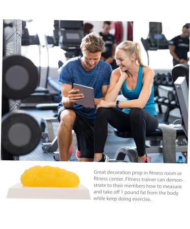 2pcs Fat Model Models Manikin Sugar Bowl 1 Pound Body Fat Replica Human Body Module - Buy Online on GoSupps.com