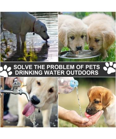 Lotvic 750ml Portable Dog Drinking Bottle - On-the-Go Water Dispenser for Hiking & Camping - Adjustable Carabiner - Travel Accessory for Dogs - Black - Buy Online on GoSupps.com