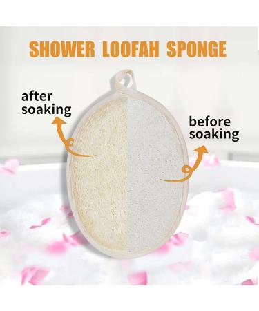 Zenidoo Natural Loofah Exfoliating Body Scrubber - Eco-Friendly Luffa Pads for Shower, Men and Women - Large Size, 2 Pack - Buy Online on GoSupps.com