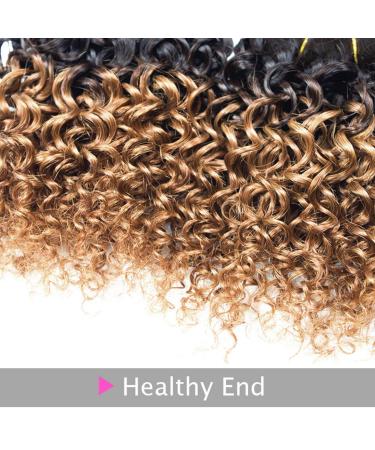 Kinky Curly Brazilian Virgin Human Hair Bundles - Ombre Short Curly Hair Extensions - 8 Inch (Pack of 4) 1B/30 - Buy Online on GoSupps.com