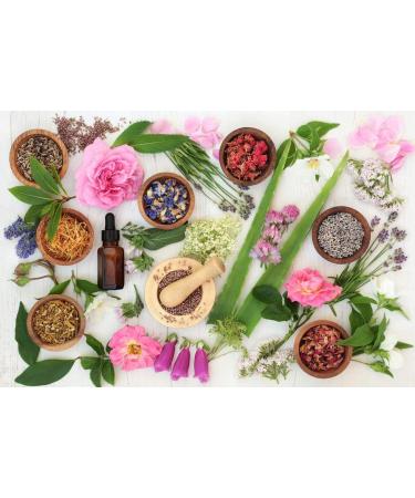 Rock Rose n 26 Fleur de Bach farmaflor 1 Flacon Comtpe Gouttes 10ml - Made in Italy - Buy Online on GoSupps.com