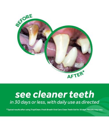 Tropiclean Fresh Breath by - Oral Care Gel for Dogs - Clean Teeth No Brushing - Helps Remove Plaque & Tartar - Berry Fresh - 59 ml 59 ml (Pack of 1) Berry Fresh - Buy Online on GoSupps.com