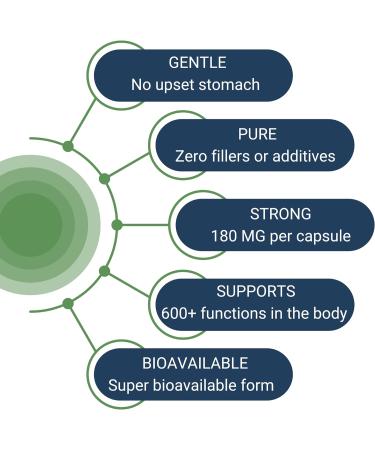 Healthy Gut Magnesium-HP | Ultra Pure Glycinate | 360mg Bisglycinate | 30 Servings - Buy Online on GoSupps.com