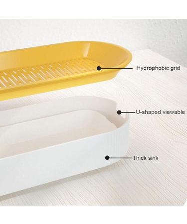 Buy Hydroculture Cat Grass Set - Mess-Free No Dirt Easy to Grow Anti-Grave Design for Happy Cats! - Buy Online on GoSupps.com