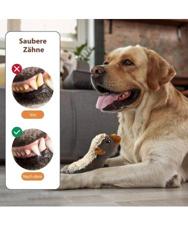Iokheira Squeaking Dog Toys for Large Dogs | Cuddly Crinkle Toys for Puppies & Medium Dogs | Beige Brown Honeydachs - Buy Online on GoSupps.com