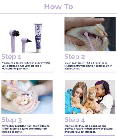 RYERCAT Lavender Dual Sided Cat Toothbrush - 8mm Wide for Gentle Cat Dental Care - Buy Online on GoSupps.com