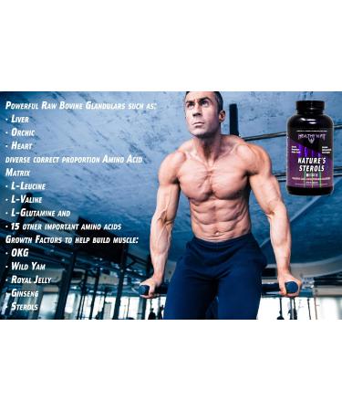 Healthy N Fit Nature s Sterols - 270 Tabs for Anabolic Support Amino Acids & Energizing Nutraceuticals - Buy Online on GoSupps.com