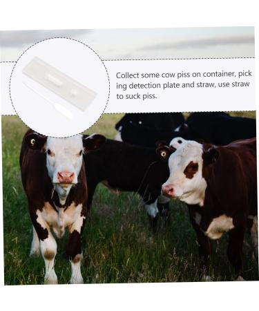 Mobestech Cow Pregnancy Test Strips - 2 Pack High Precision Colloidal Test Paper for Pregnant Animals - Accurate Cow Pregnancy Tester - Buy Online on GoSupps.com