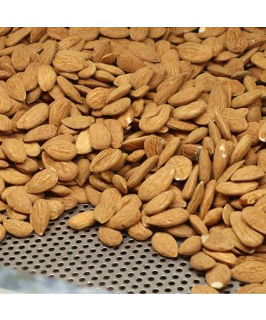 Organic Almonds 800g - 100% Sweet Almonds | Refillable Pack | Regenerative Agriculture from Spain - Shop Internationally - Buy Online on GoSupps.com