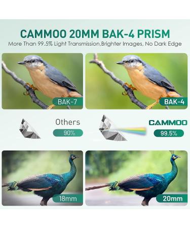 CAMMOO 24mm Large Eyepiece Monocular Telescope - 1250 High Power for Bird Watching, Wildlife, Stars - IPX7 Waterproof, Smartphone Adapter - Green - Buy Online on GoSupps.com