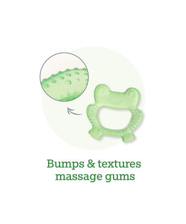 Green Sprouts Cool Nature Teethers 2-Pack - Aqua for 3+ Months - Buy Online on GoSupps.com