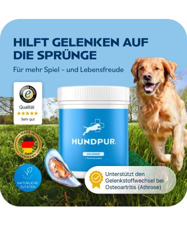Hundpur Joints 300g - Premium Dog Pellets for Joint Metabolism Support & Osteoarthritis Relief - With Green Lipped Mussel Glucosamine & MSM - Made in Germany - Buy Online on GoSupps.com