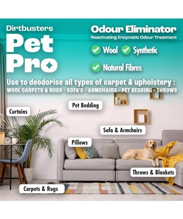 Dirtbusters Pet Pro Stain & Odour Eliminator Spray - Enzyme Cleaner for Dog & Cat Urine on Carpet, Fabric & Upholstery - Fig Scent (500ml) - Buy Online on GoSupps.com
