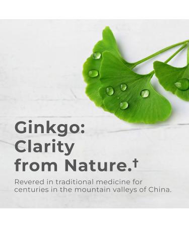 Neurogan Ginkgo Biloba Supplements Capsules Herbal Brain Supplements for Memory & Focus Cognitive Supplement with Standardized Extract 90 Vegan-Friendly Capsules - Buy Online on GoSupps.com