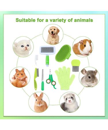 MIAOZ Rabbit Care Set with Nail Clippers and Trimmer Pet Hair Remover Long and File Flea Comb Shampoo Bath Brush for Rabbits Puppies Kittens Guinea Pigs Ferrets Small Animals (Green) - Buy Online on GoSupps.com