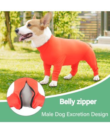 ETDANE DISCHES THE SPECIALS: Surgical Recovery Suit for Dogs - Anti-Hair Failure Long-Sleeved Comfort Pile Suit (Orange X-Small) - Buy Online on GoSupps.com