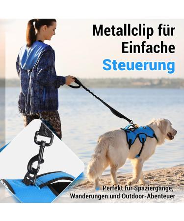 Rabbitgoo Escape-Proof Dog Harness for Medium Dogs - Anti-Pull Adjustable Breathable Padded Vest with Handle - XL Blue - Buy Online on GoSupps.com