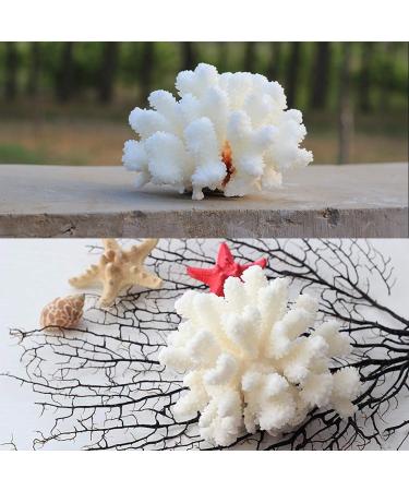Buy Besimplle 2-Piece Artificial Coral Ornaments - Aquarium Resin Coral Decor & Underwater Sea Plants for Stunning Decor - Buy Online on GoSupps.com