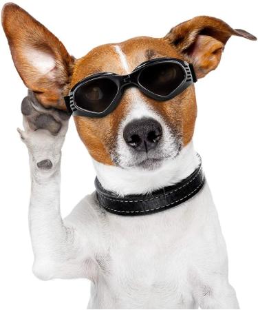 XUNKE Dog Goggles - Anti-UV Eye Protection Sunglasses for Small/Medium Pets (Black) - Waterproof & Windproof - Buy Online on GoSupps.com
