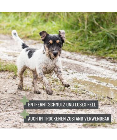 Reavet Bathing Brush for Dogs & Cats - Rubber Cover Massage Effect Removes Loose Hair & Dirt | Ideal for Short & Long Hair - Buy Online on GoSupps.com