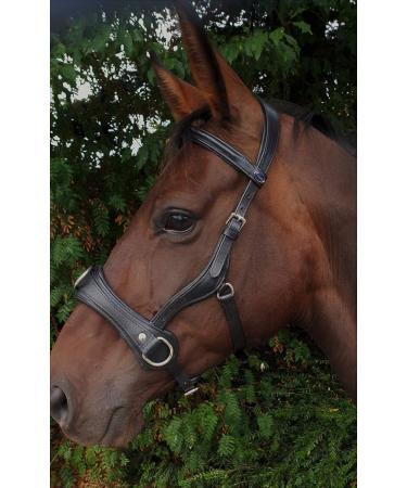 Natan Leather Cavesson for Coldbloods | Ergonomic Eye Clearance | VB WB X Full | Tysons Runs Large (XXF) - Buy Online on GoSupps.com