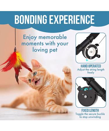 Interactive Cat Toys Set - Feather Toy, Cat Chaser, Cat Teaser - 4 PCS Fishing Rod Kit for Indoor Cats - Buy Online on GoSupps.com