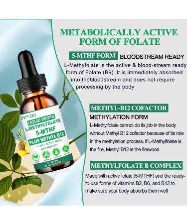 Methylfolate Supplement Liquid Drops L Methy Folate 15mg Plus Methy B12 B6 B2 Multivitamin Metabolically Active 5-MTHF Form for Mood Homocysteine Methylation Cognition Energy Nerve Health* - Buy Online on GoSupps.com