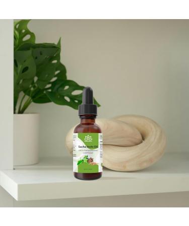 Relaxcation Cold Pressed Sacha Inchi Oil - Pure Unrefined Virgin Oil from Peru | Natural Carrier Extract for Face Hair and Body | 100% Plant-Based (4 oz) 4 Fl Oz (Pack of 1) - Buy Online on GoSupps.com