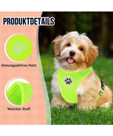 Slowton Dog Harness for Small & Medium Dogs | No Pull Safety Breast Harness | Soft Padded & Breathable - Shop Now - Buy Online on GoSupps.com