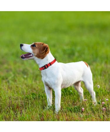 Taglory Soft Padded Neoprene Dog Collar for Small Dogs - Adjustable & Reflective - Red (1 Pack) | Best for Training & Comfort - Buy Online on GoSupps.com