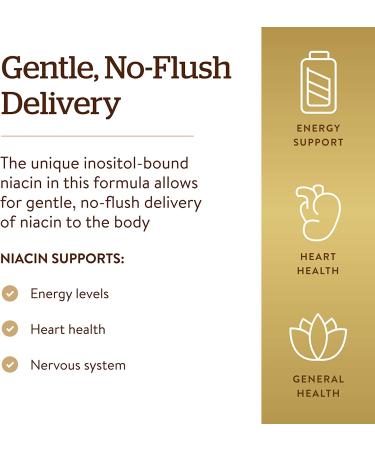 Solgar No-Flush Niacin 500mg - 250 Vegetable Capsules | Supports Healthy Circulation & Energy - Buy Online on GoSupps.com