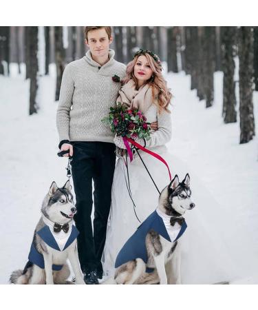 Shop Kuoser Dog Smoking Suit & Bandana Set Stylish Pet Formal Wear for Weddings Halloween & Birthdays | S-XXL | Blue - Buy Online on GoSupps.com